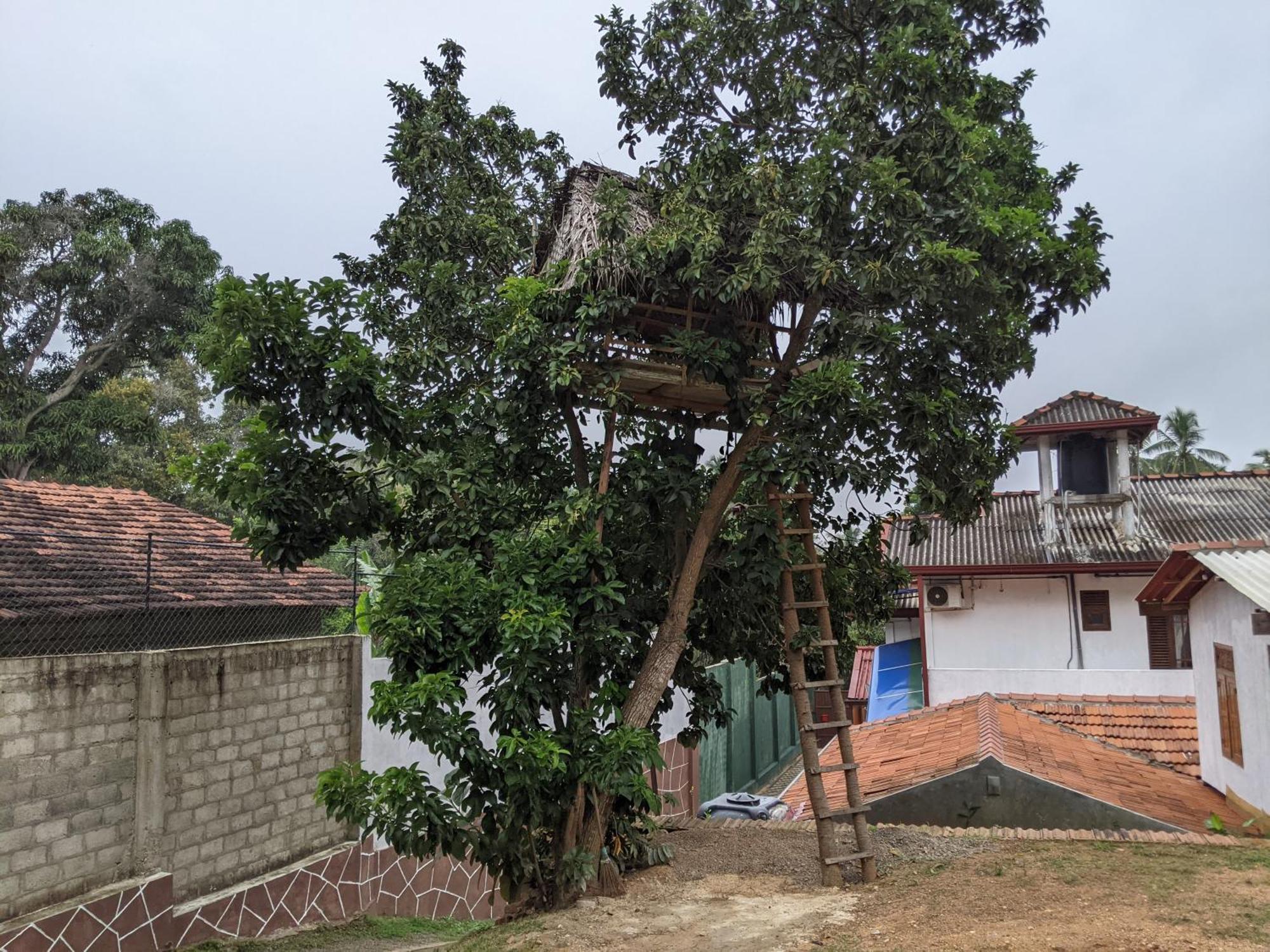 Serendip Villa Holiday Home Talalla Sri Lanka Ruang foto
